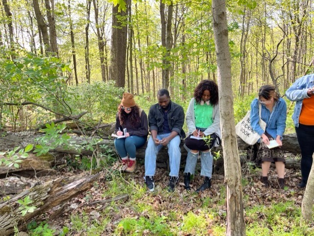 Several people seated on a log and writing 