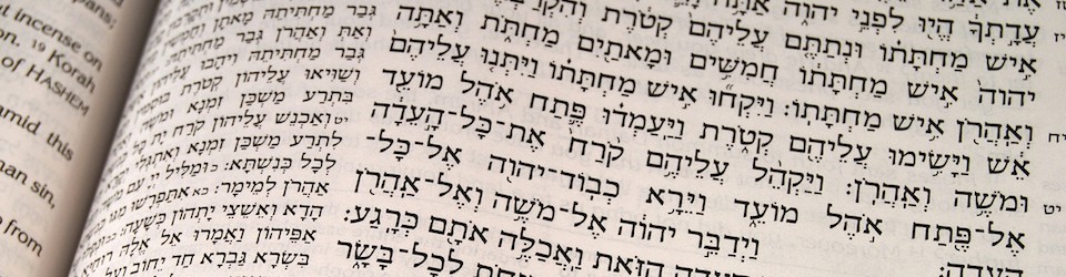 Image of the Torah