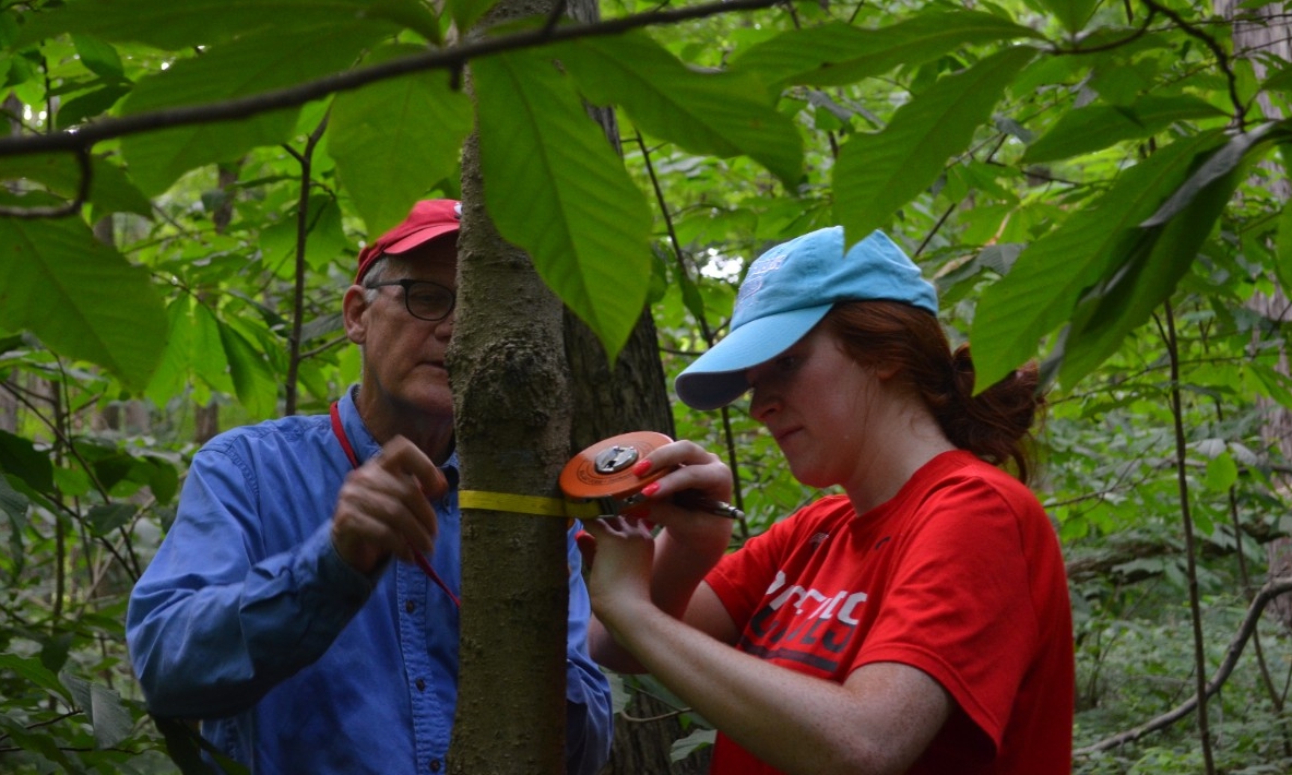 Prof. Lentz and a student measuring trees in the forest