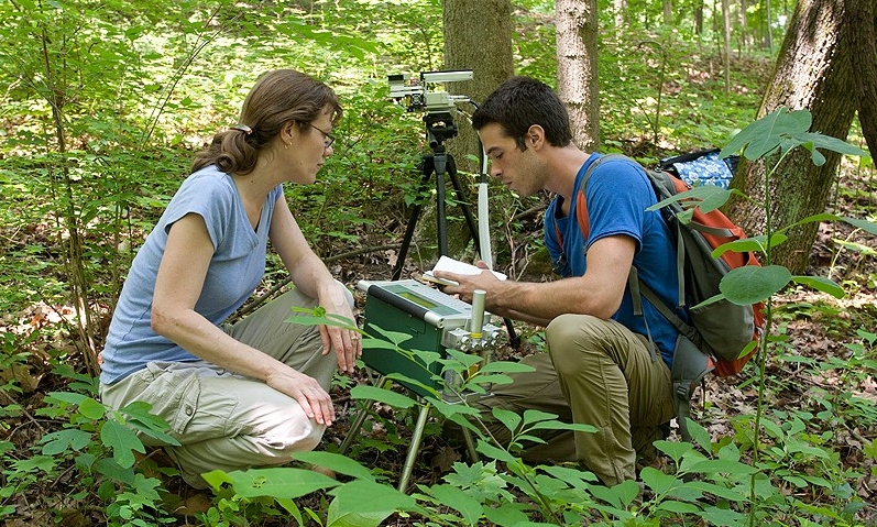 Field Station, Theresa Culley's students invarious locations. Eli Williams, a student in the Environmental Field Techniques course, is measuring instantaneous photosynthethetic rates of invasive honeysuckle with the Li-Cor 6400 infrared gas analyzer with Prof Theresa Culley.